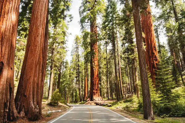 National Parks